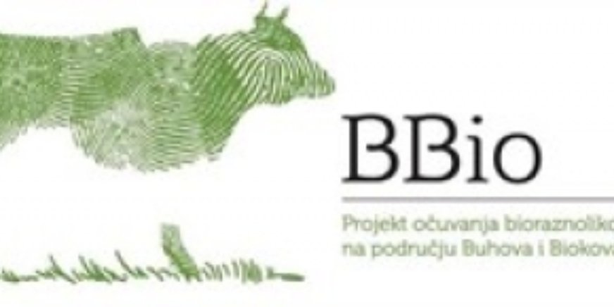 Projekt BBio na području LAG-a Adrion – Prva prekogranična izložba buša