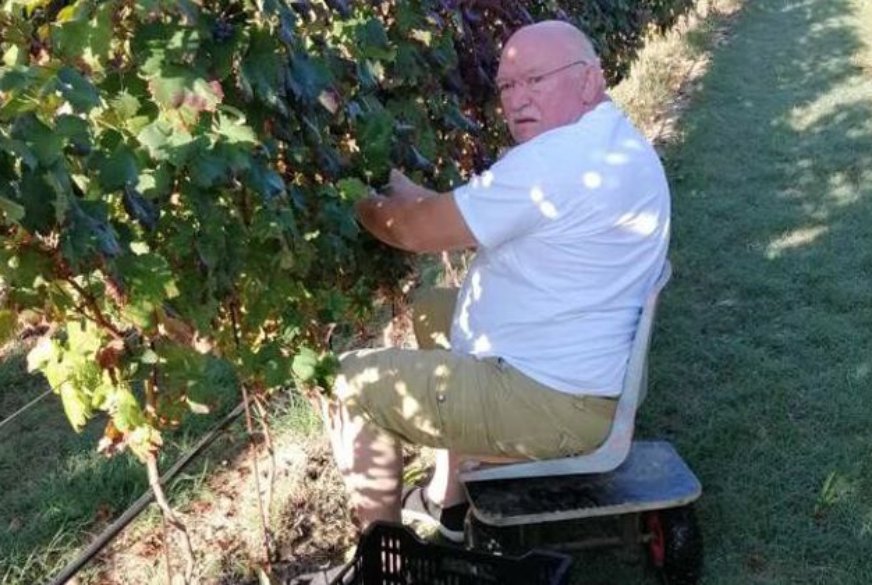 Financiramo i ulaganje u vinariju na OPG-u Goran Filipović