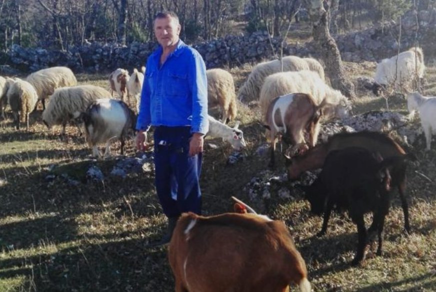 Primjer dobre prakse s 2. nacionalnog natječaja podmjere „Potpora razvoju malih poljoprivrednih gospodarstava“ – OPG Balić Ivan