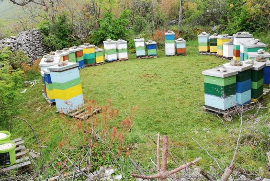 Košnica tvornica pod vedrim nebom