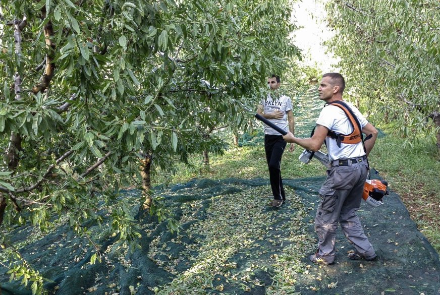 Primjer dobre prakse sa 6. LAG natječaja “Potpora razvoju malih poljoprivrednih gospodarstava”