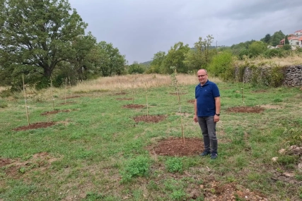 Primjer dobre prakse: OPG Tomislav Šitum iz Ciste Provo
