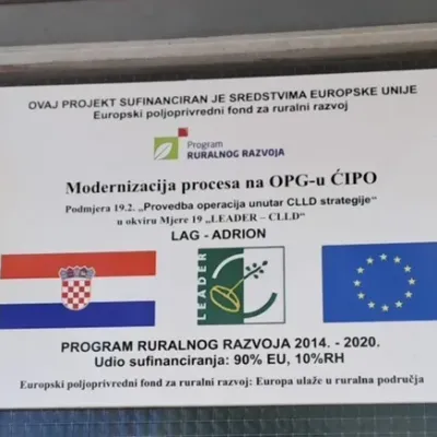 Trajna Ploca 11